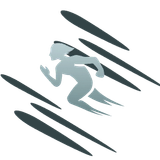 Shadow Runner